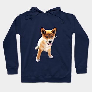 Shiba Inu Puppy Dog Hoodie